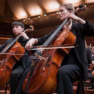 Cello musicians